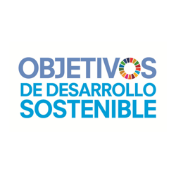 SDG 0